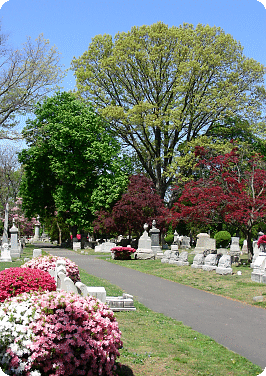a picturesque view of the grounds, showing a road, trees, shrubs, graves, and monuments