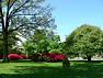 Cemetery grounds picture #3