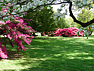 Cemetery grounds picture #4