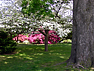 Cemetery grounds picture #5