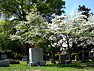Cemetery grounds picture #7