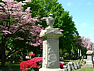Cemetery grounds picture #8