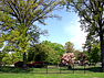 Cemetery grounds picture #13