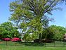 Cemetery grounds picture #14