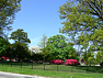 Cemetery grounds picture #15