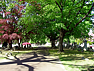 Cemetery grounds picture #17